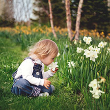 Une fille assise sur l'herbe sentant une fleur avec des pétales blanches